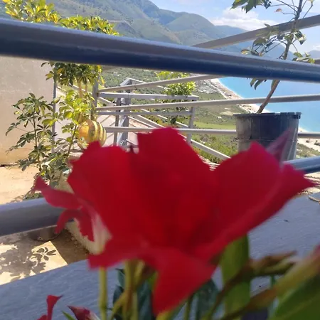 Rafa's アパート
