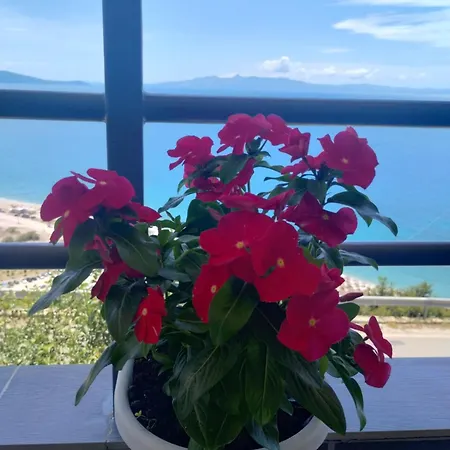 Apartment Rafa's